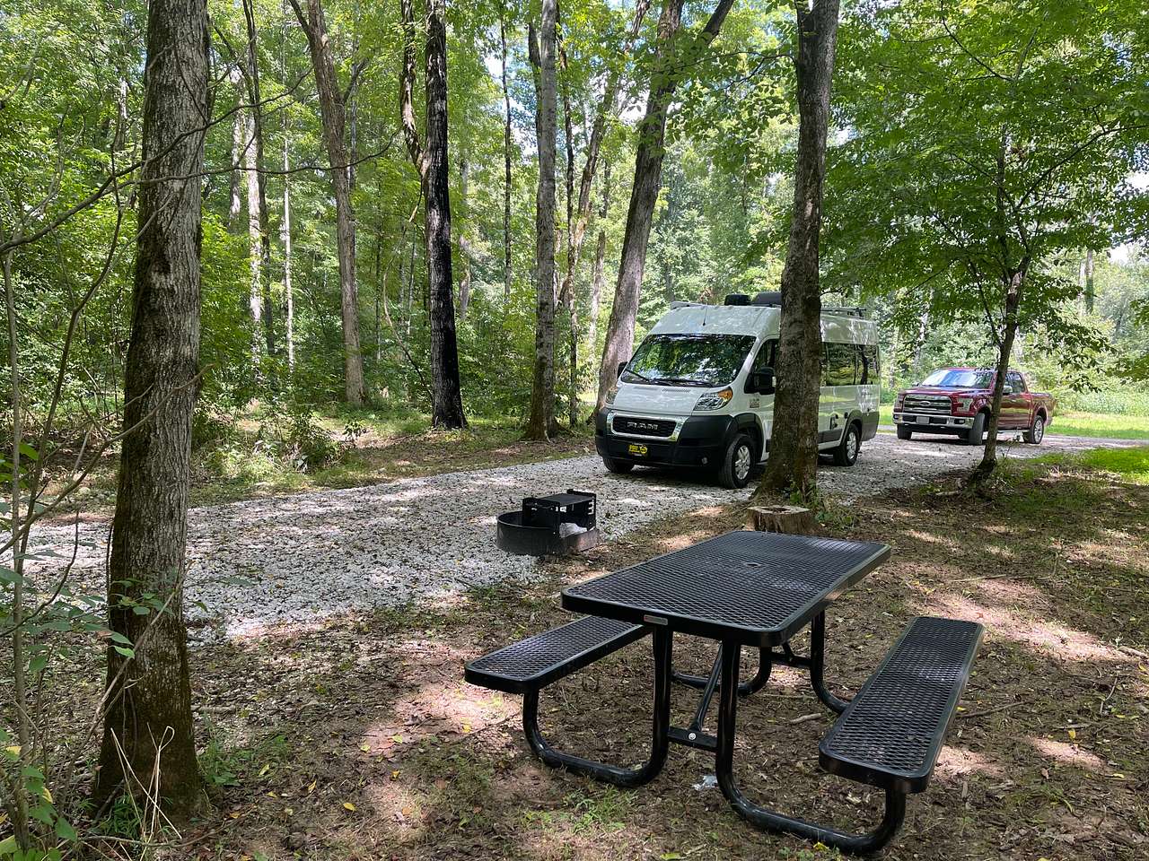 Picture of the site