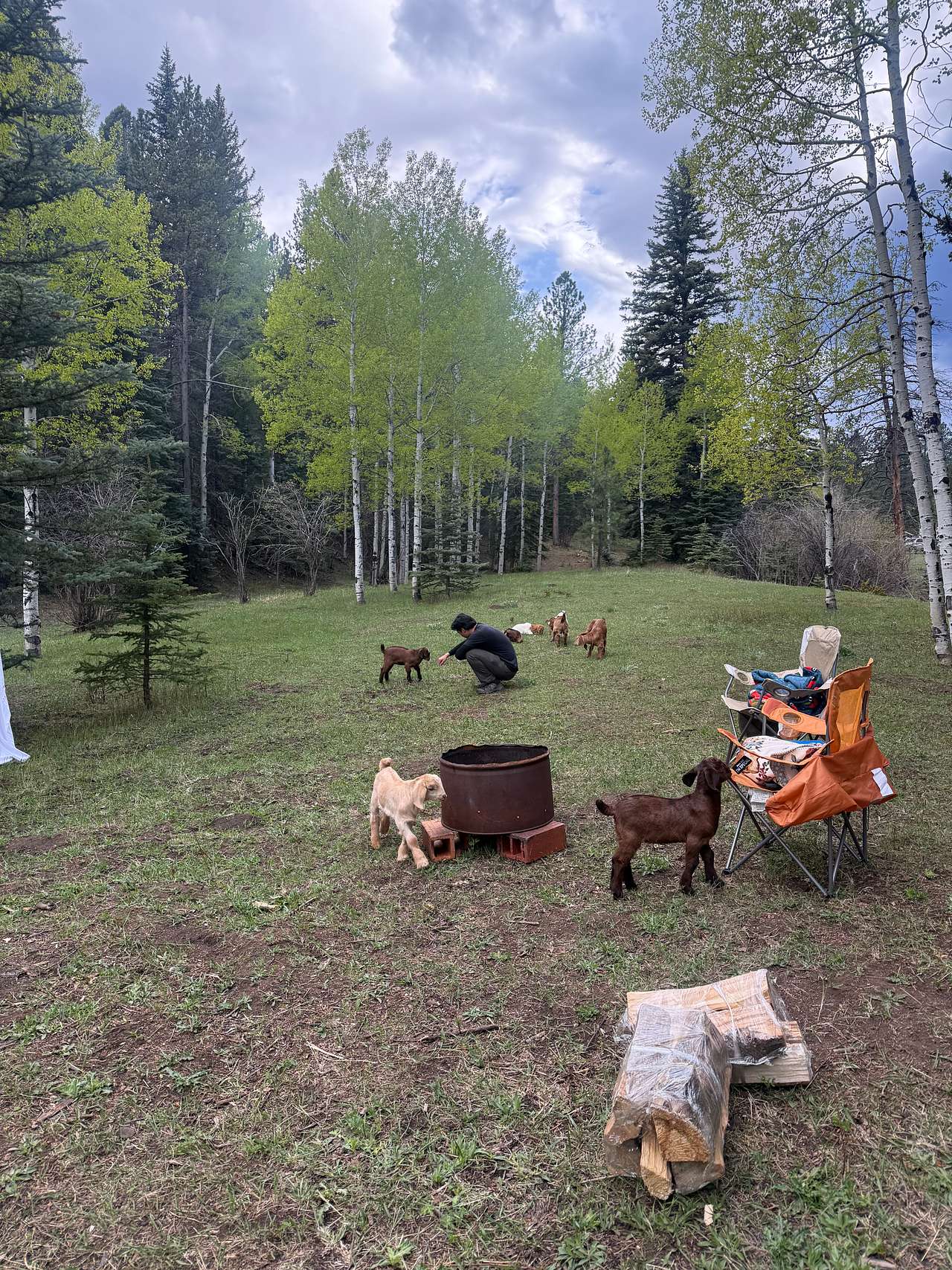 Picture of the site