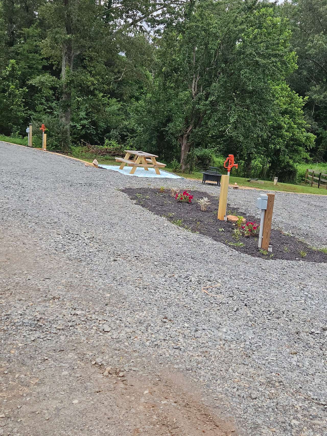Picture of the site