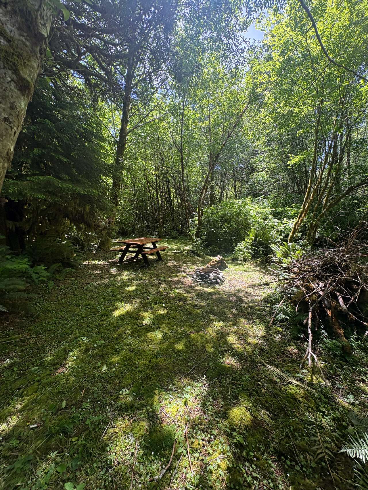 Rest & The River