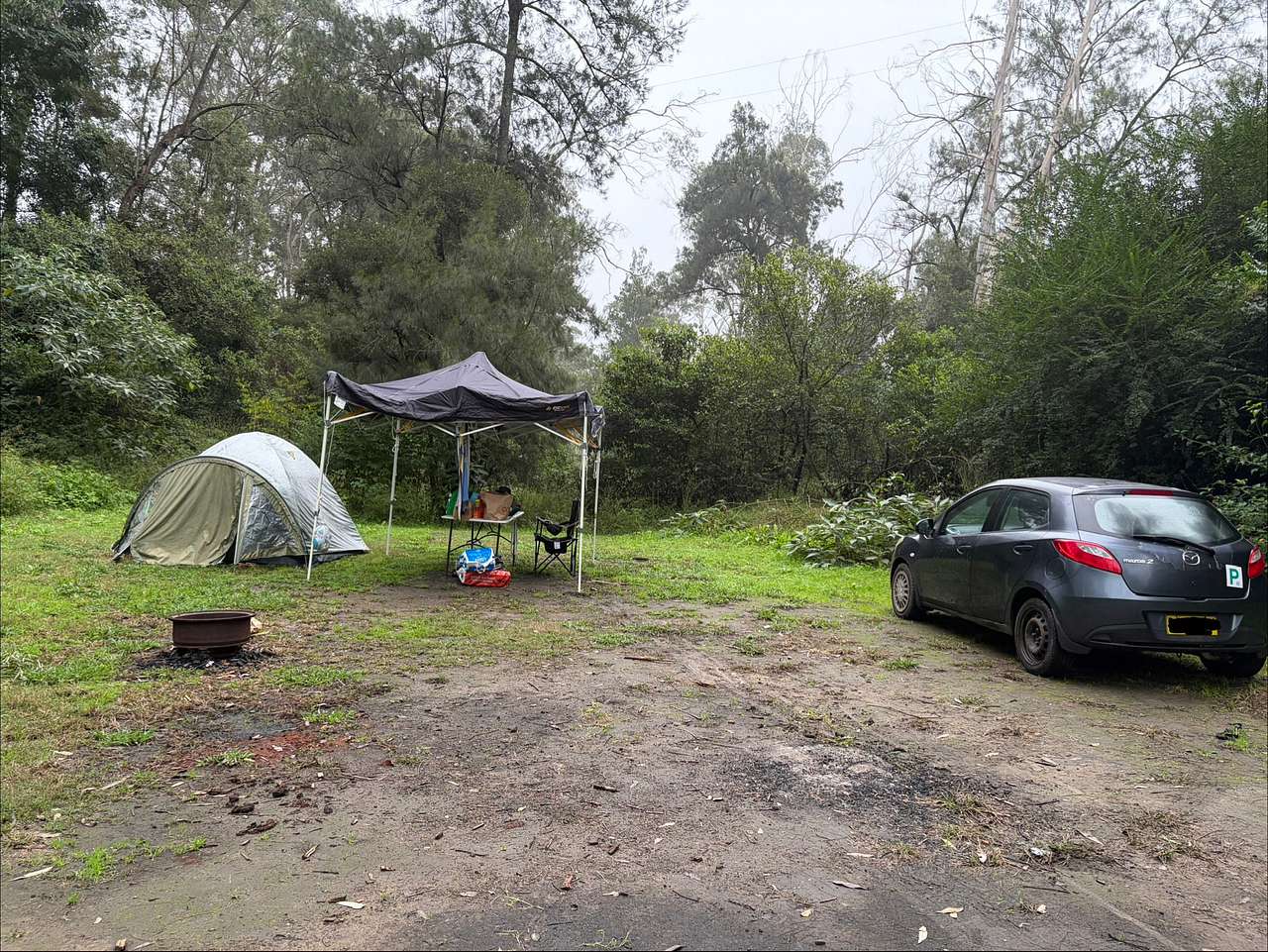 Picture of the site