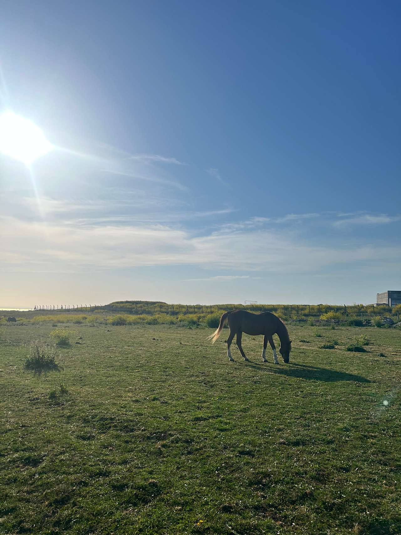 Sweet Hill Farm