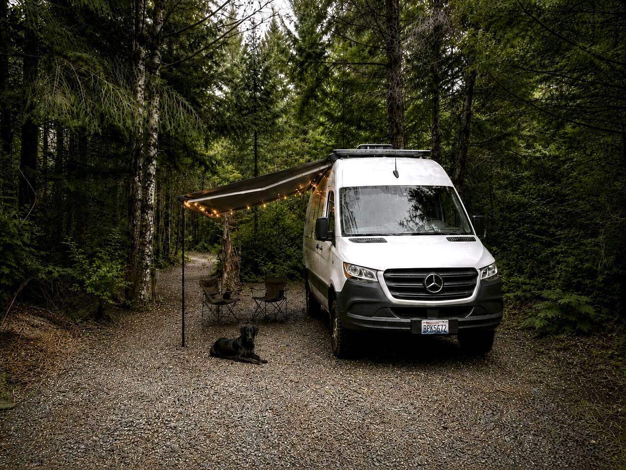 Hood Canal Acres