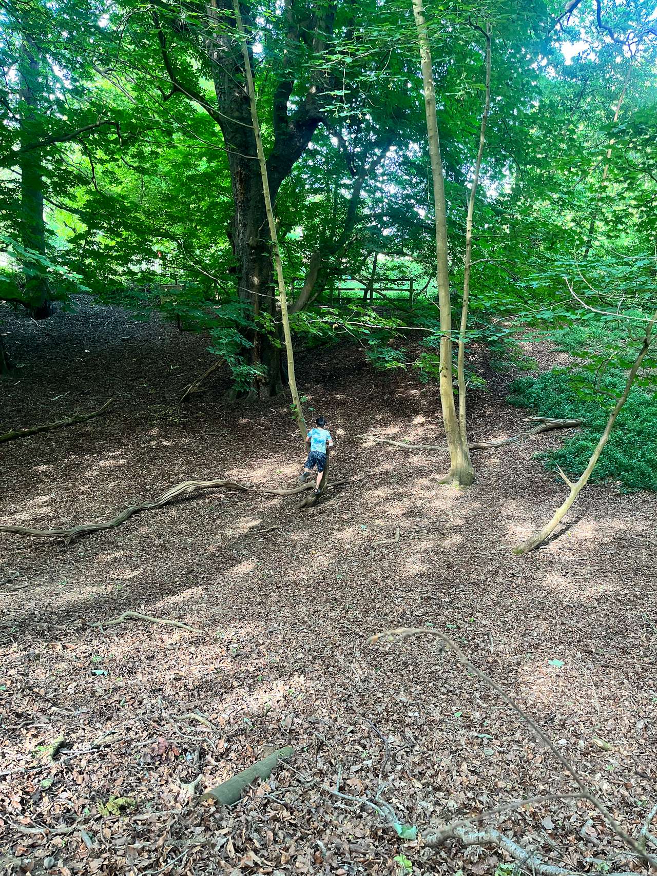 Whitlingham Broad Campsite