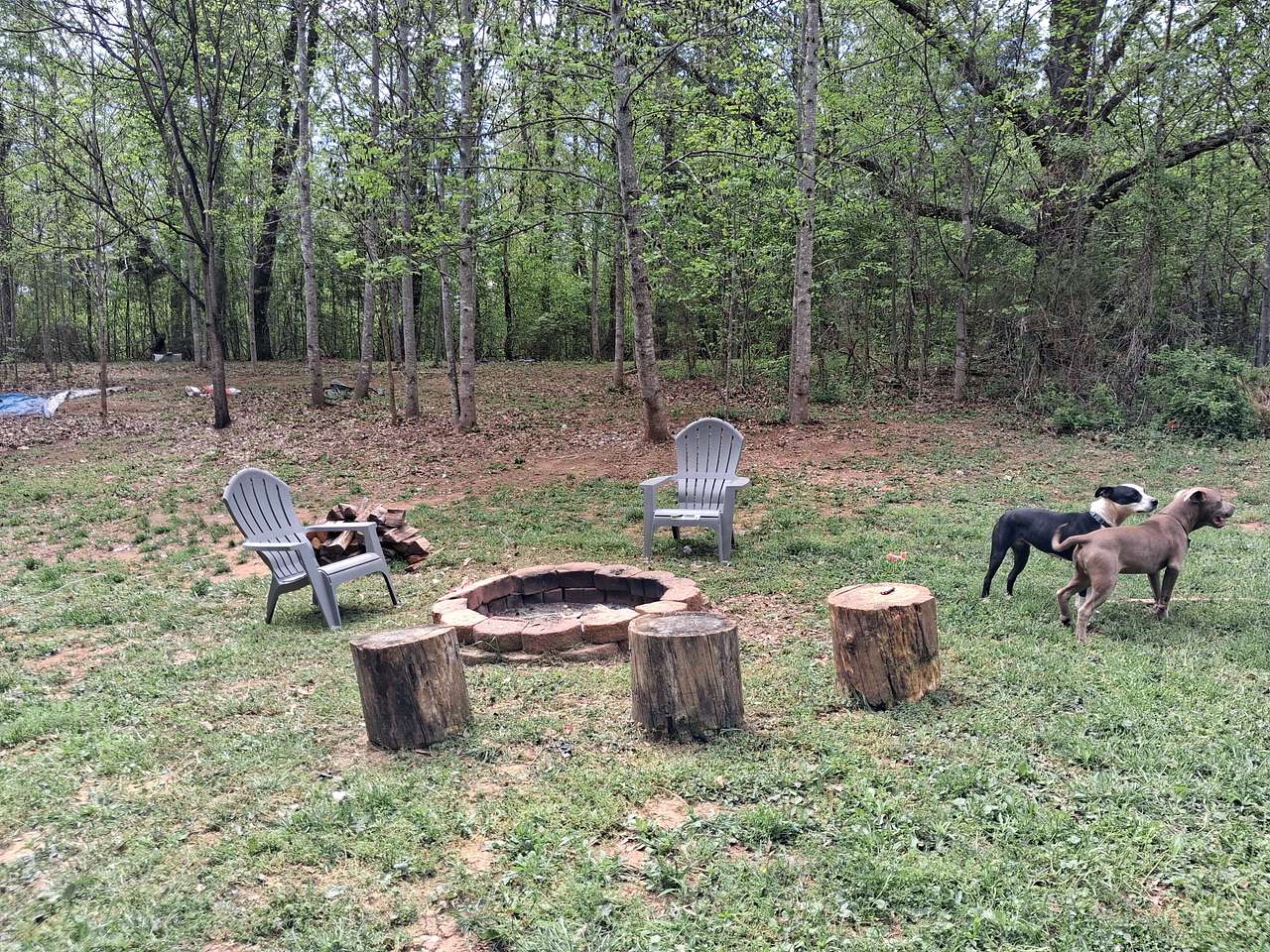 Resting Willow Farm