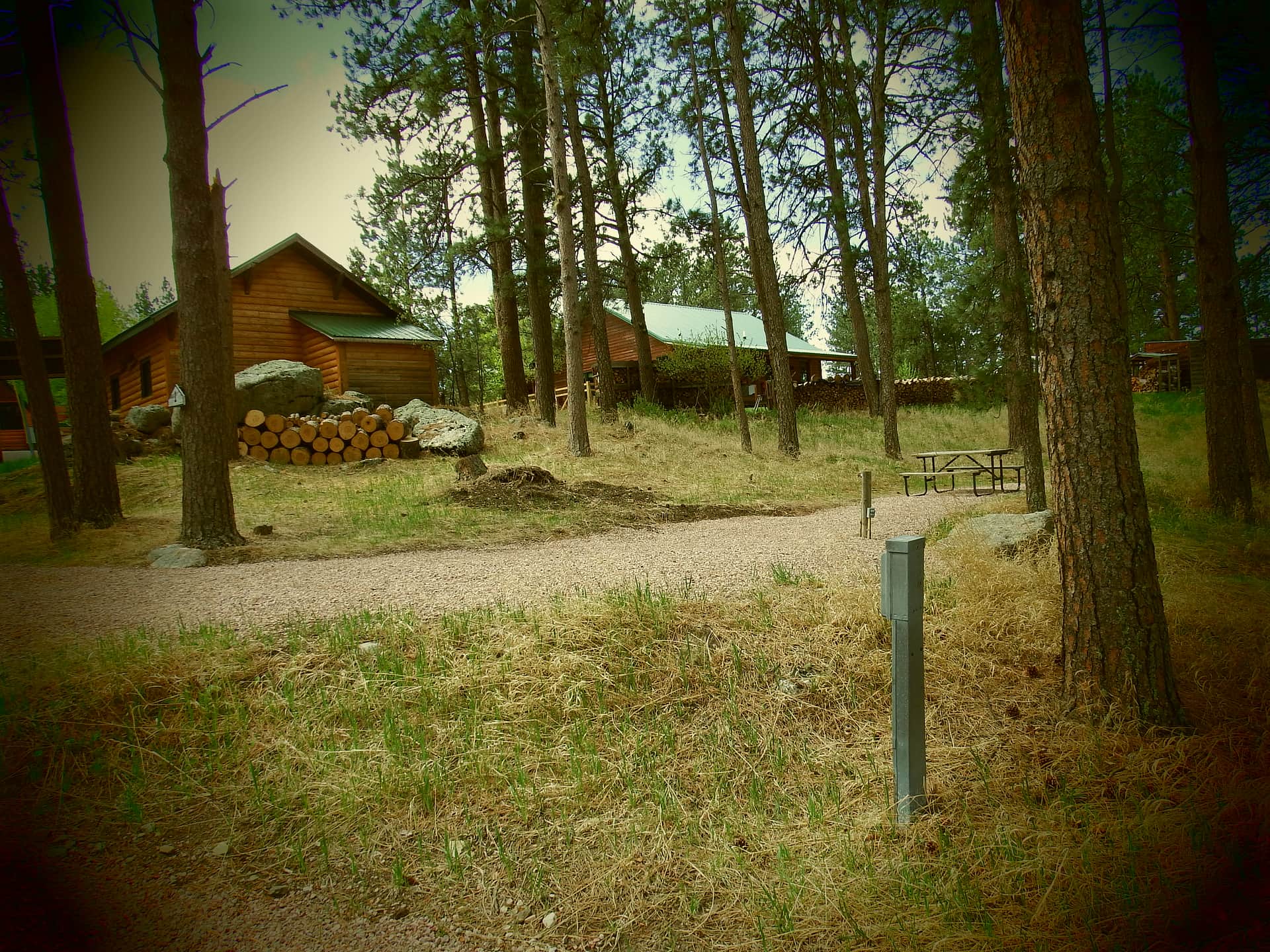 Picture of the site