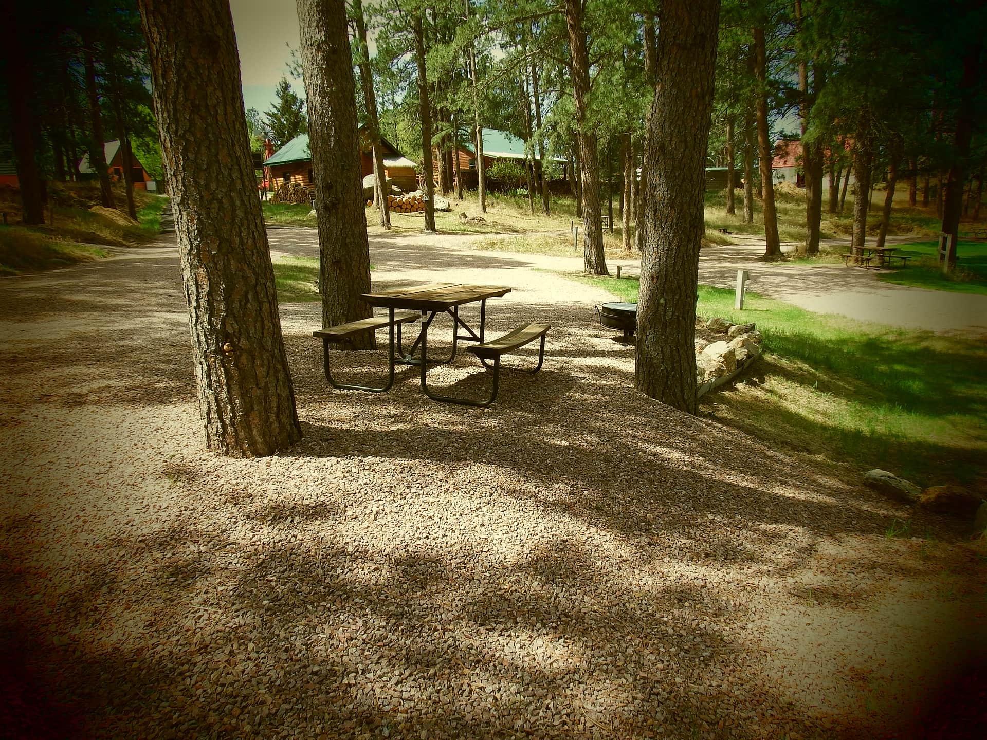 Picture of the site