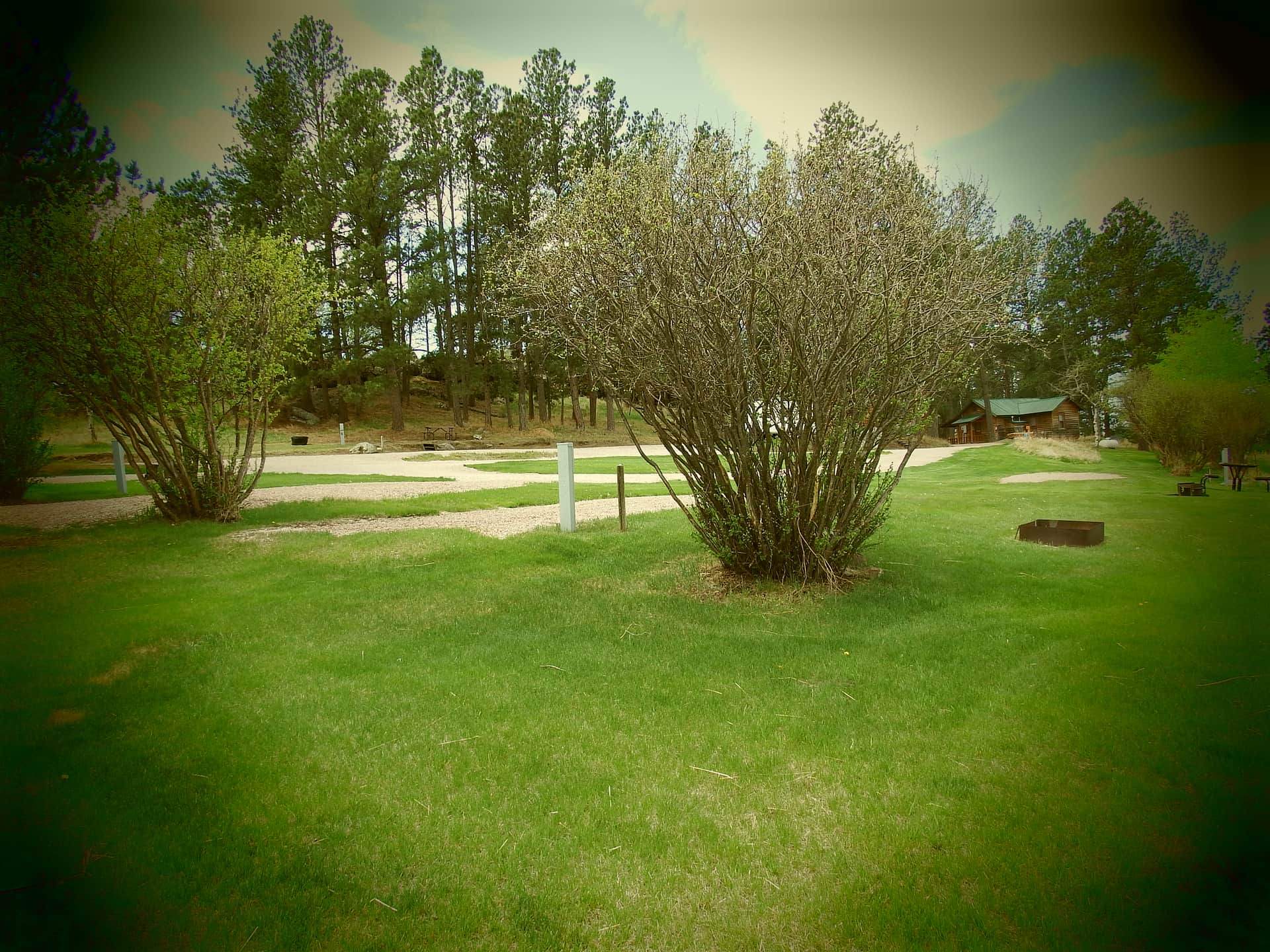 Picture of the site