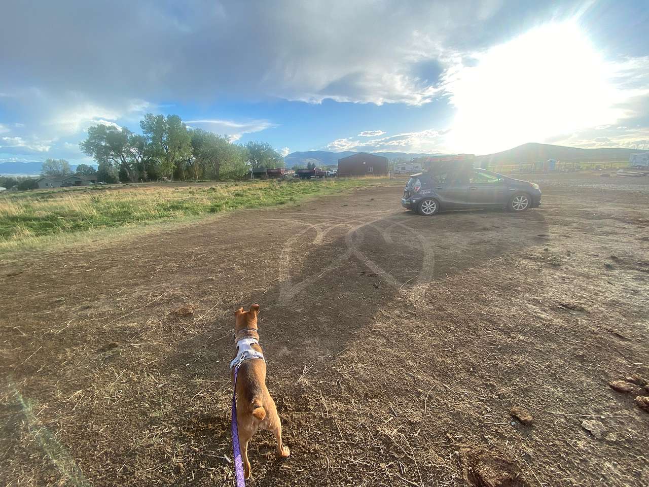 Picture of the site