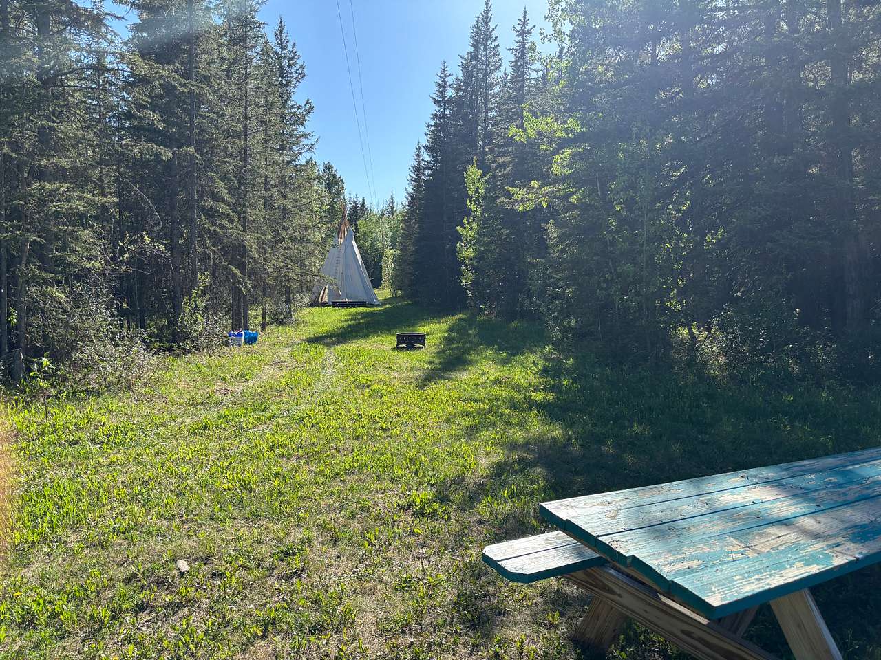 Picture of the site
