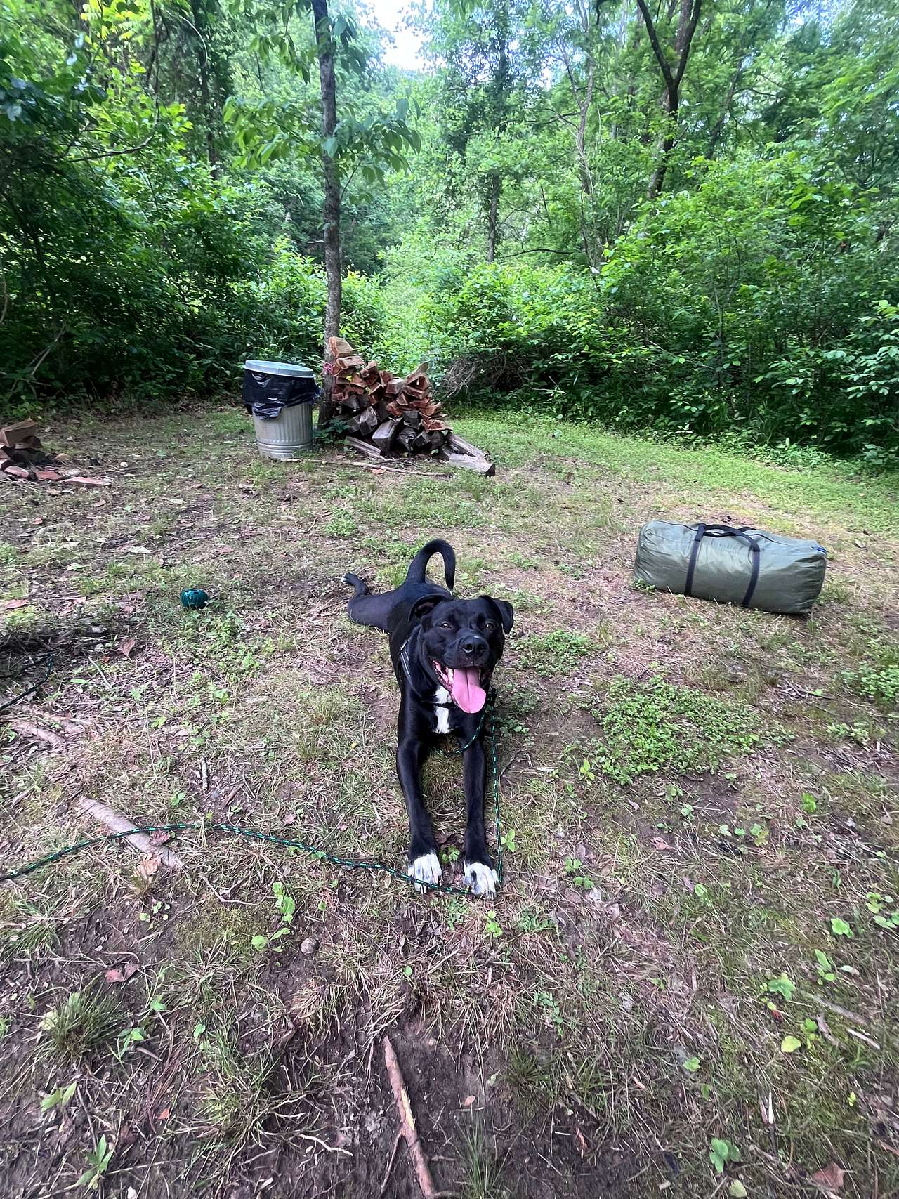 Picture of the site