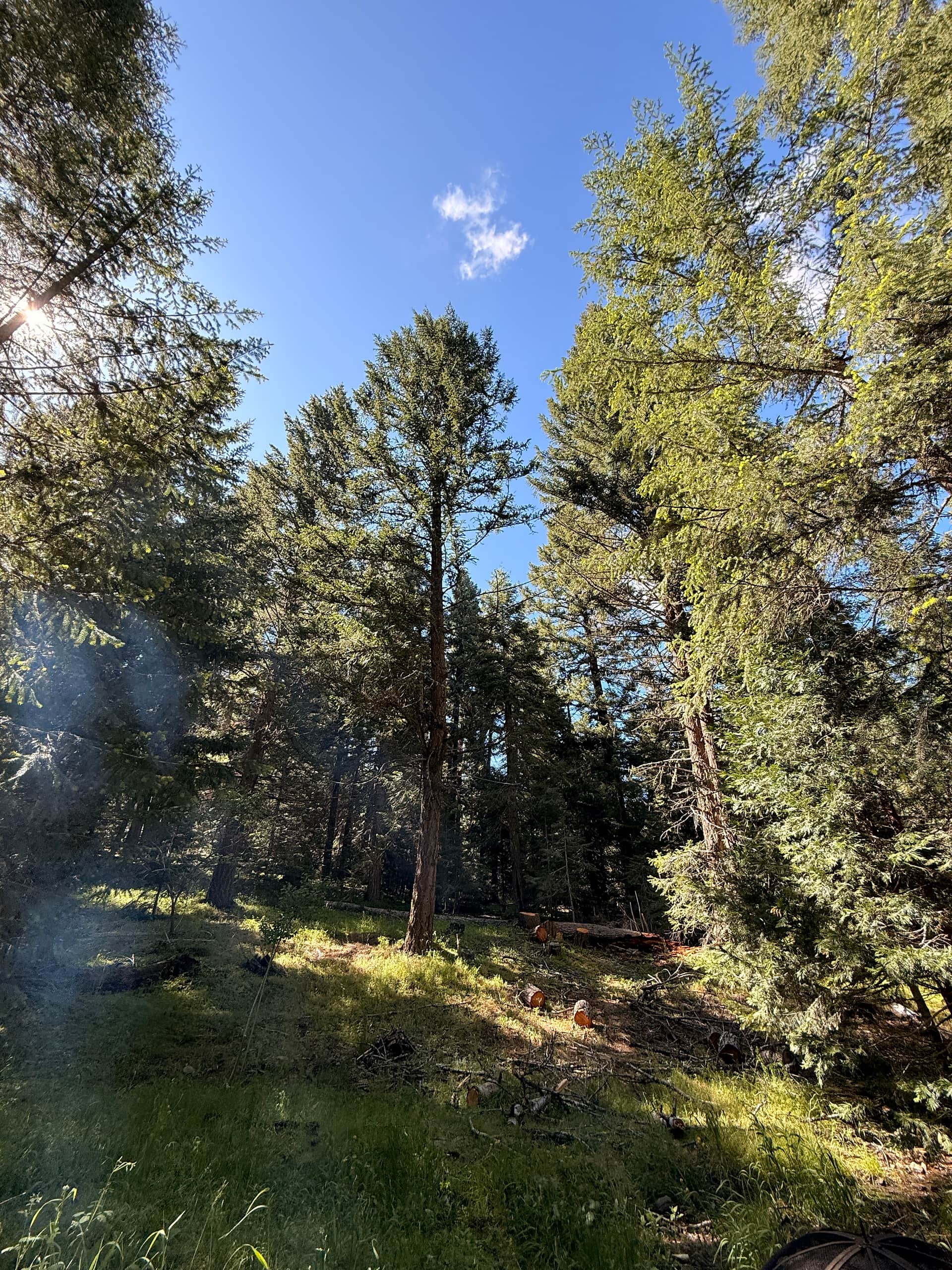 Private Mountain Cabin Getaway