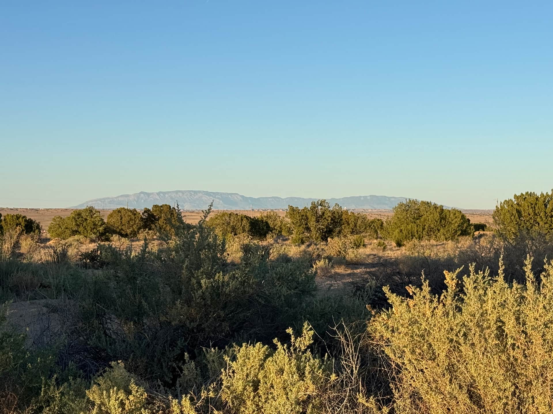 Star Gazer Ranch