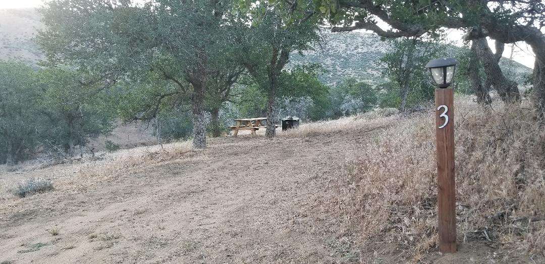 Picture of the site