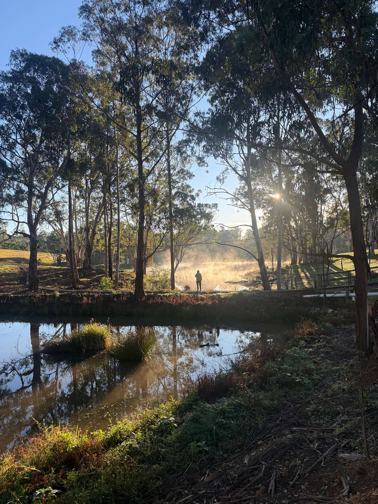 Booma Farm