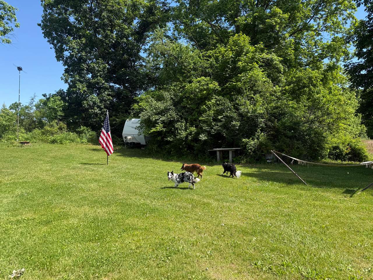 Picture of the site