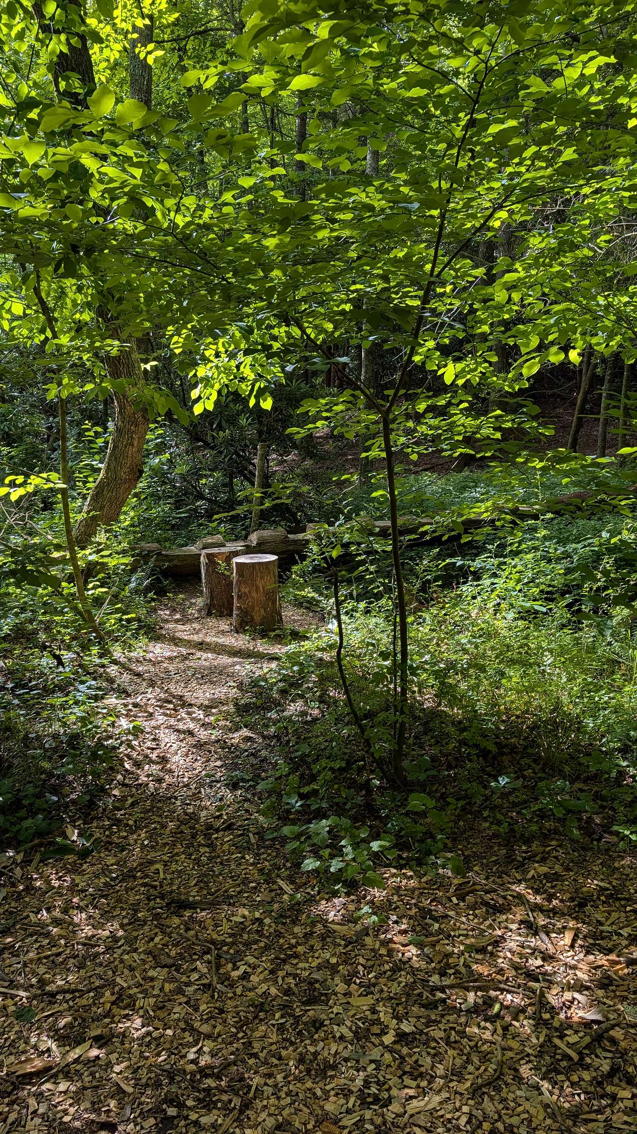 Cold Spring Basecamp