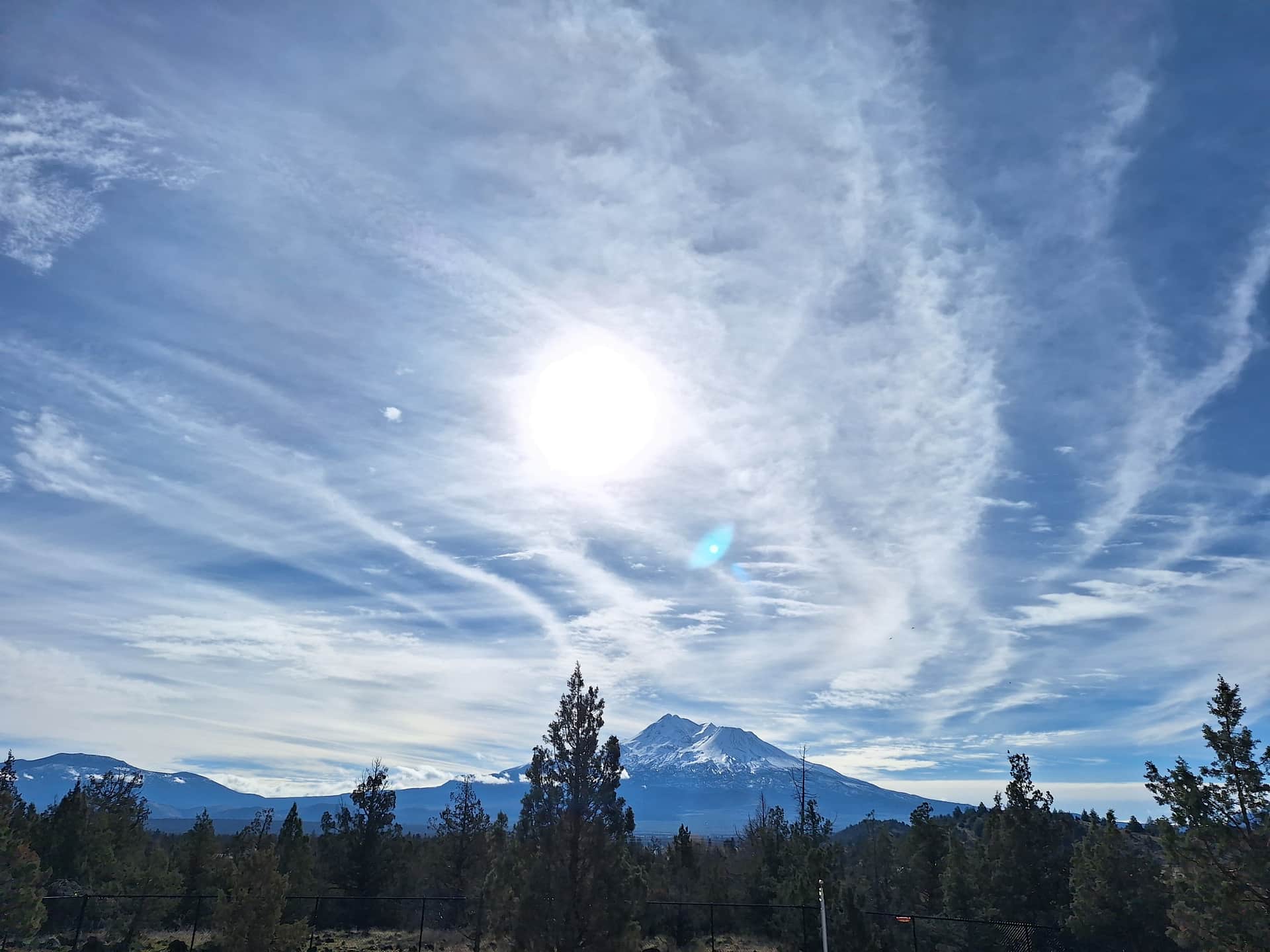 Mt Shasta View!