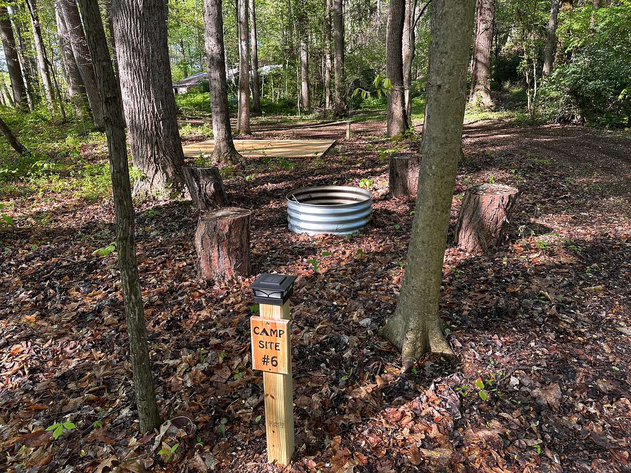 Picture of the site