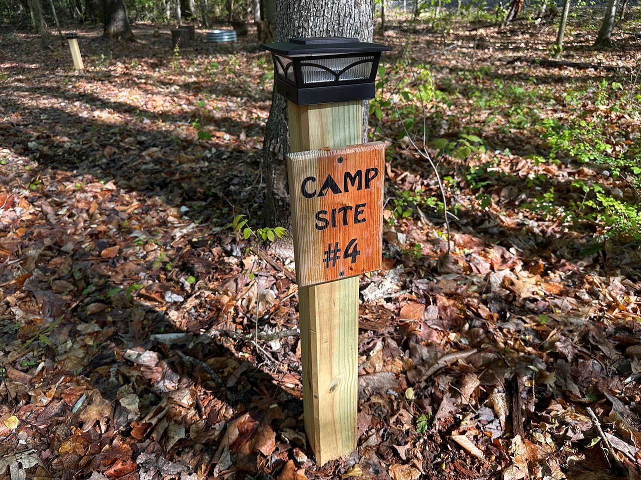 Steele Haven