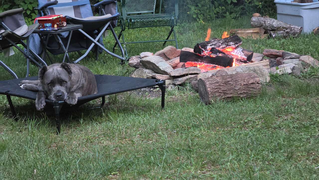 Rocky Face Camp