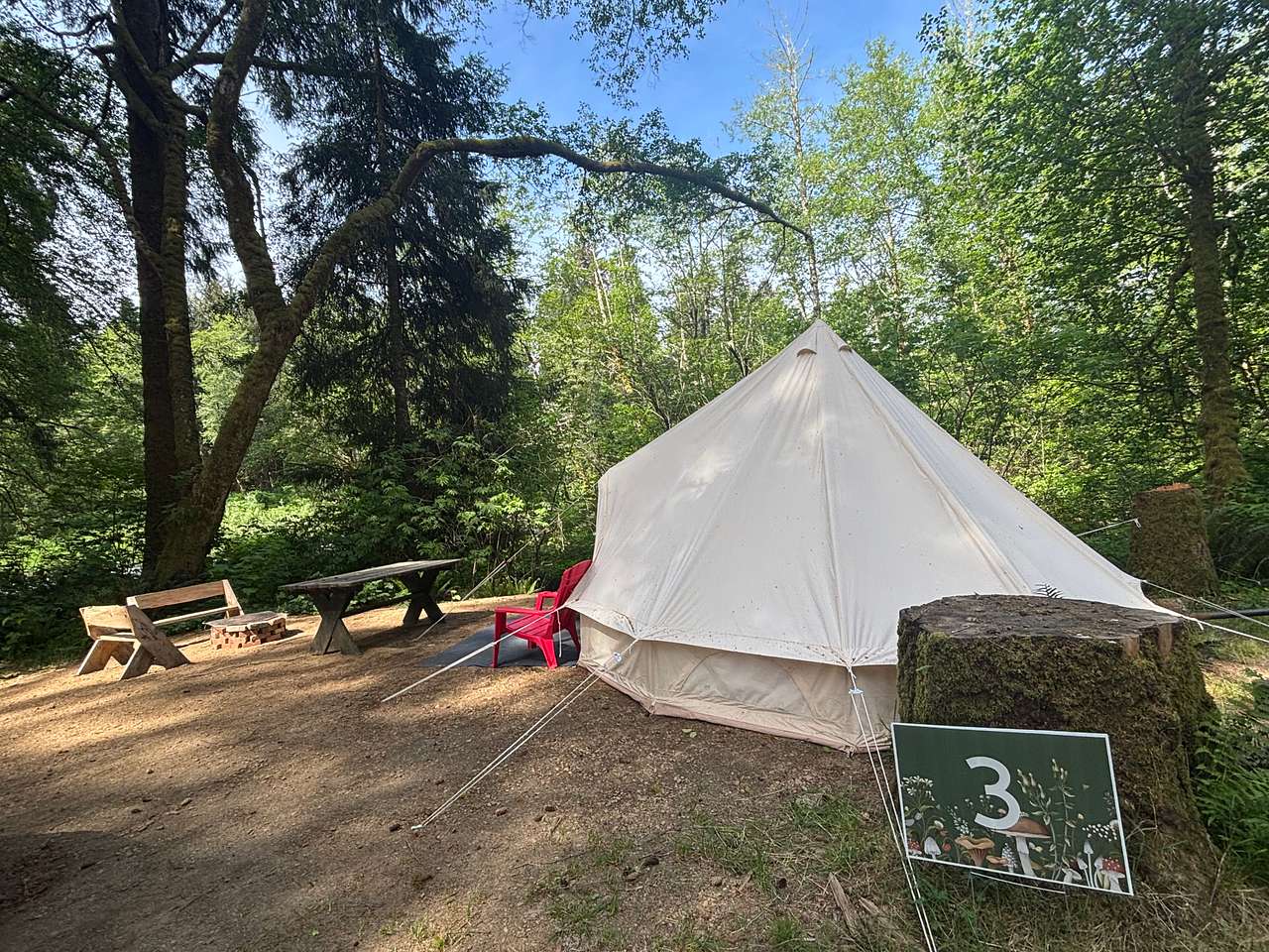 Picture of the site