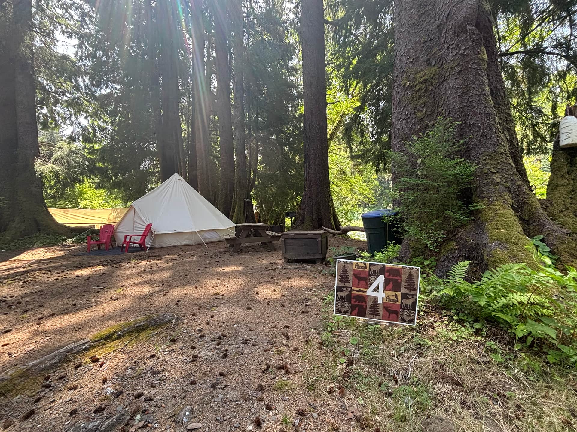 The Ultimate Camping Trip