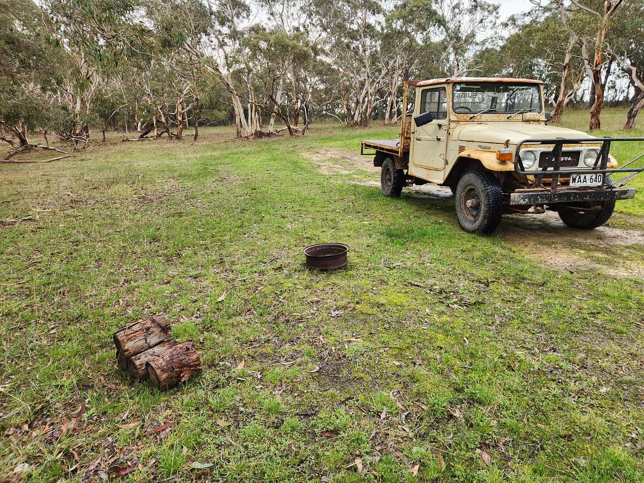 Picture of the site