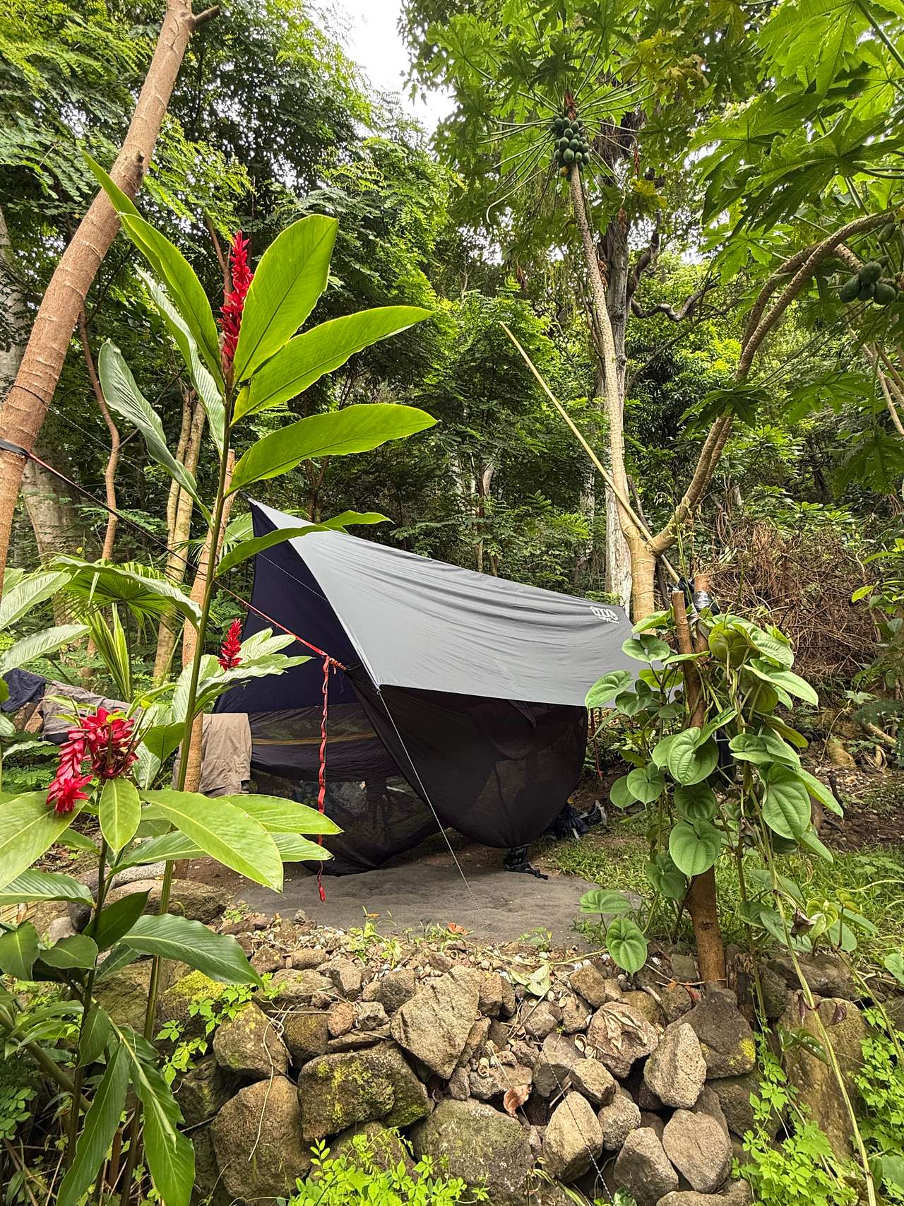 Waipio Farm To Table