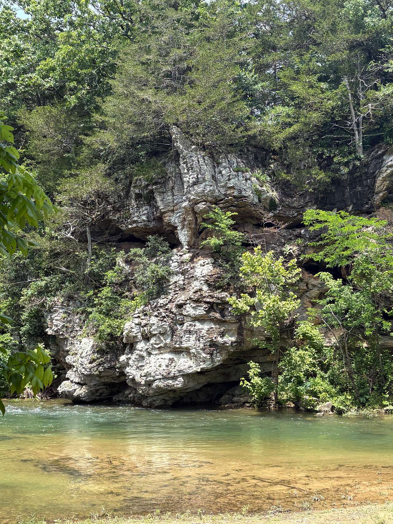 Wilson's Clear Creek Camp