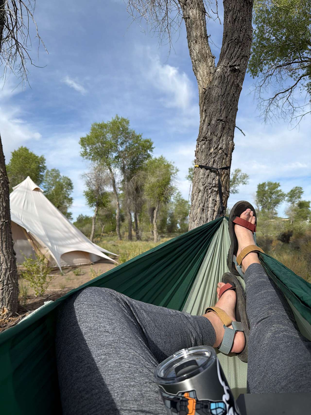 Morning coffee in my hammock under the bluest skies