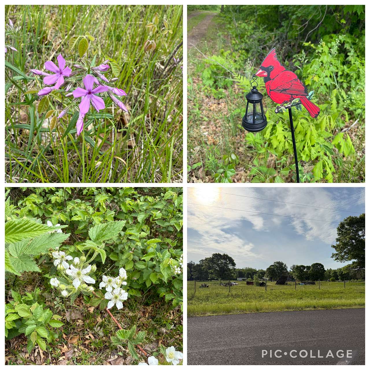 A peaceful place in Wisconsin
