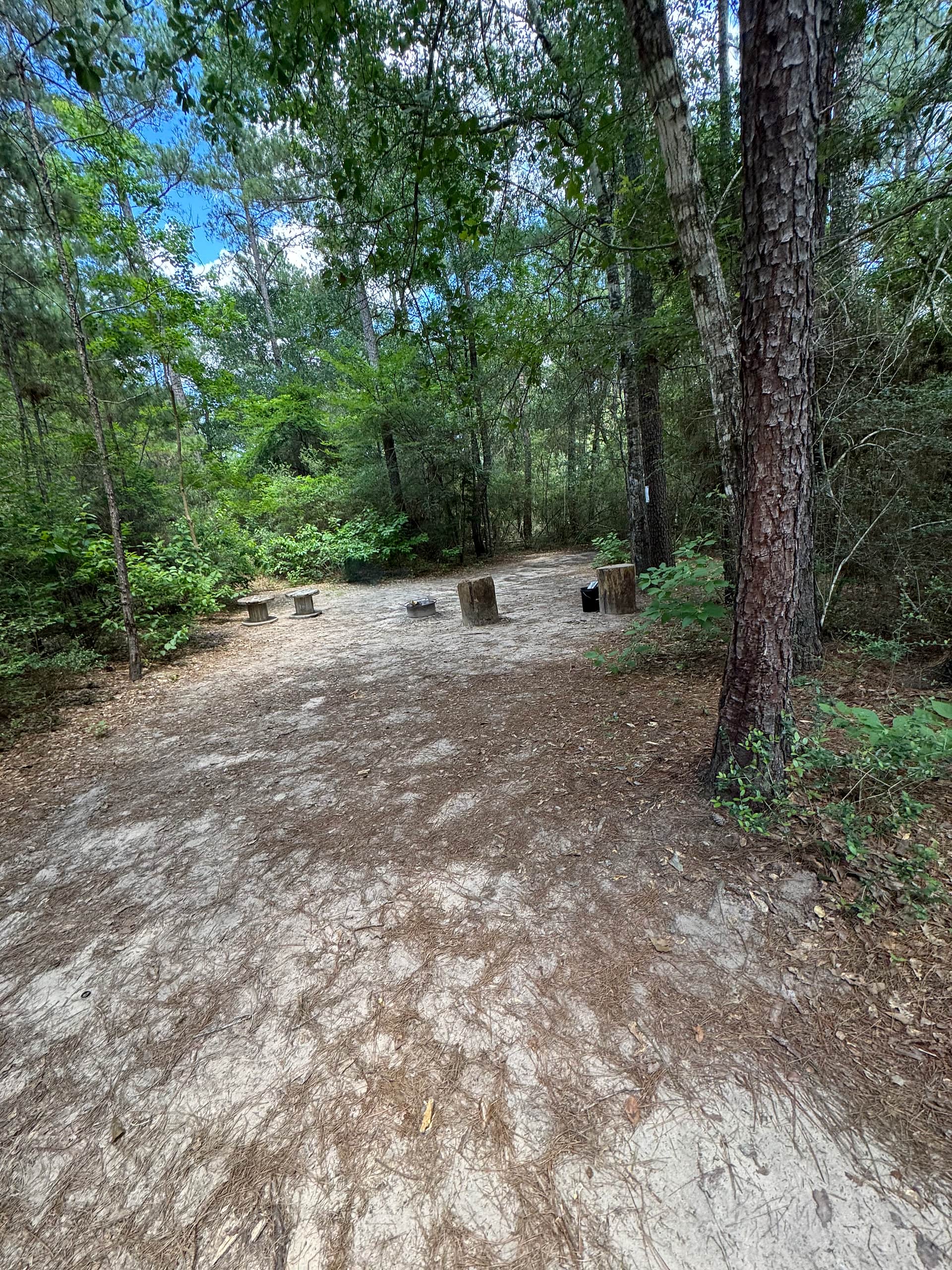 5D RANCH