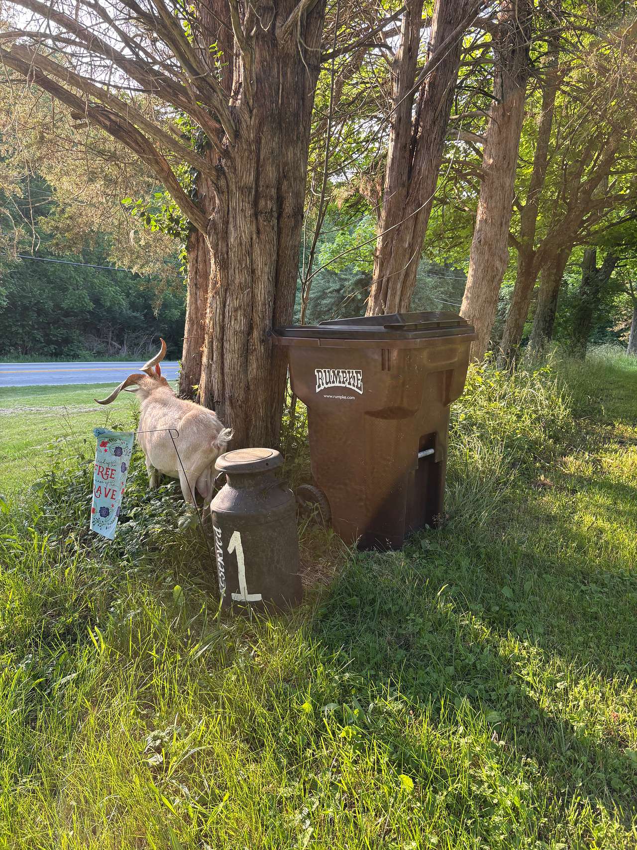 Deer Haven
