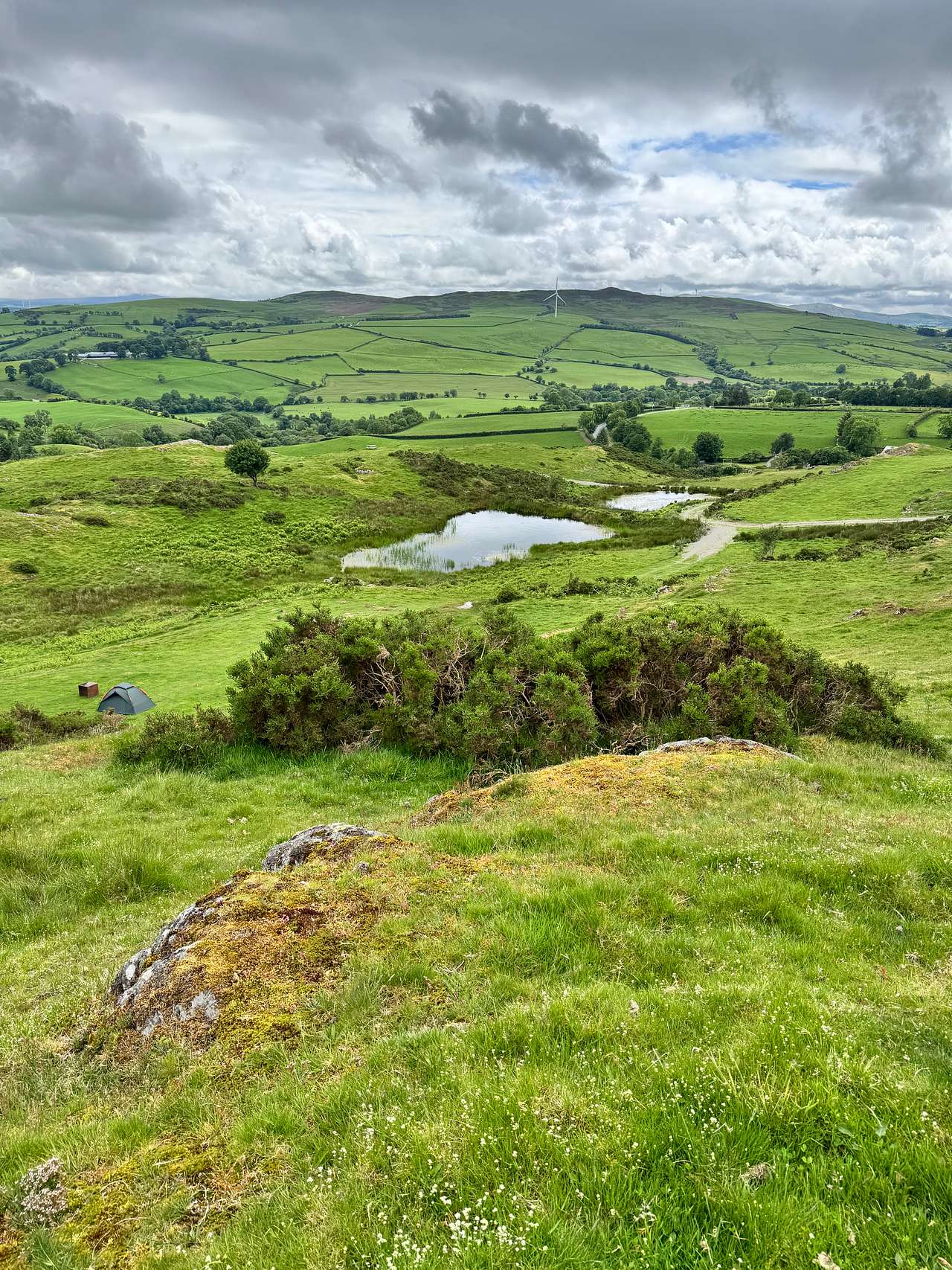Mynydd Derwydd Wildcamping