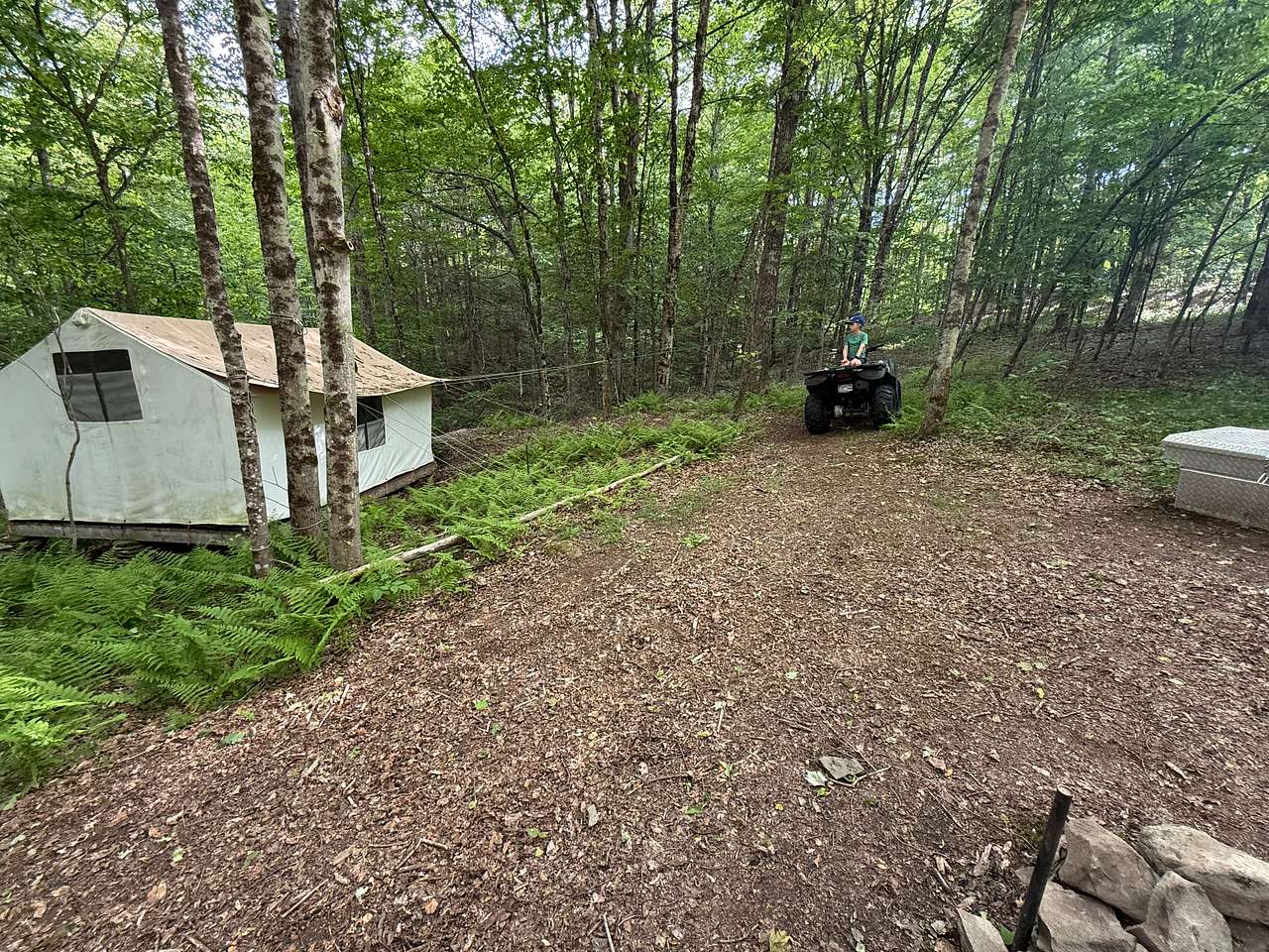 Picture of the site