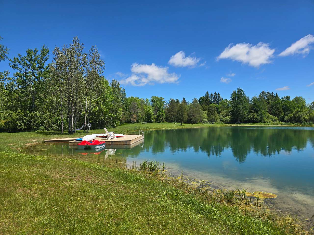 On the pond