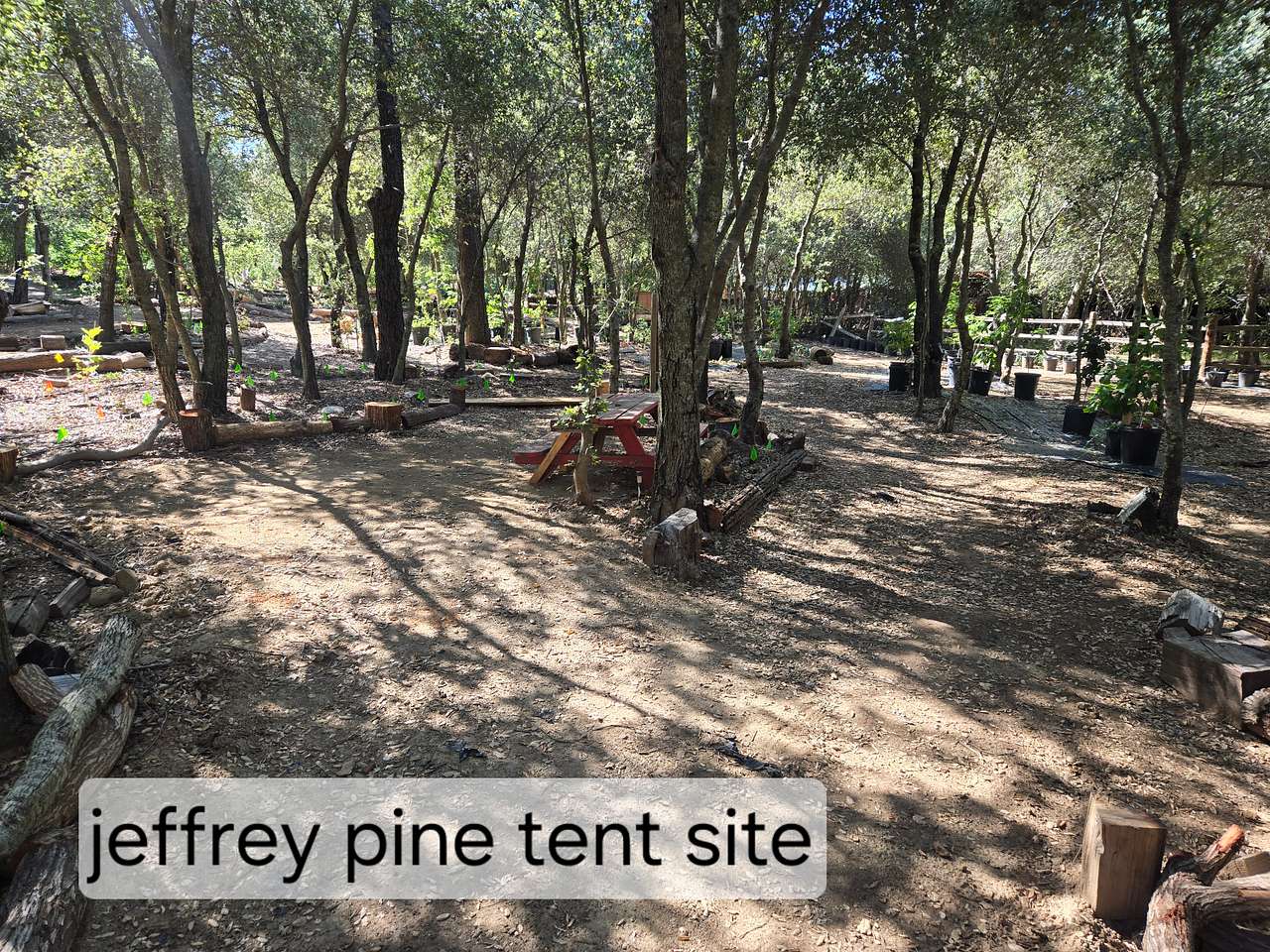Picture of the site