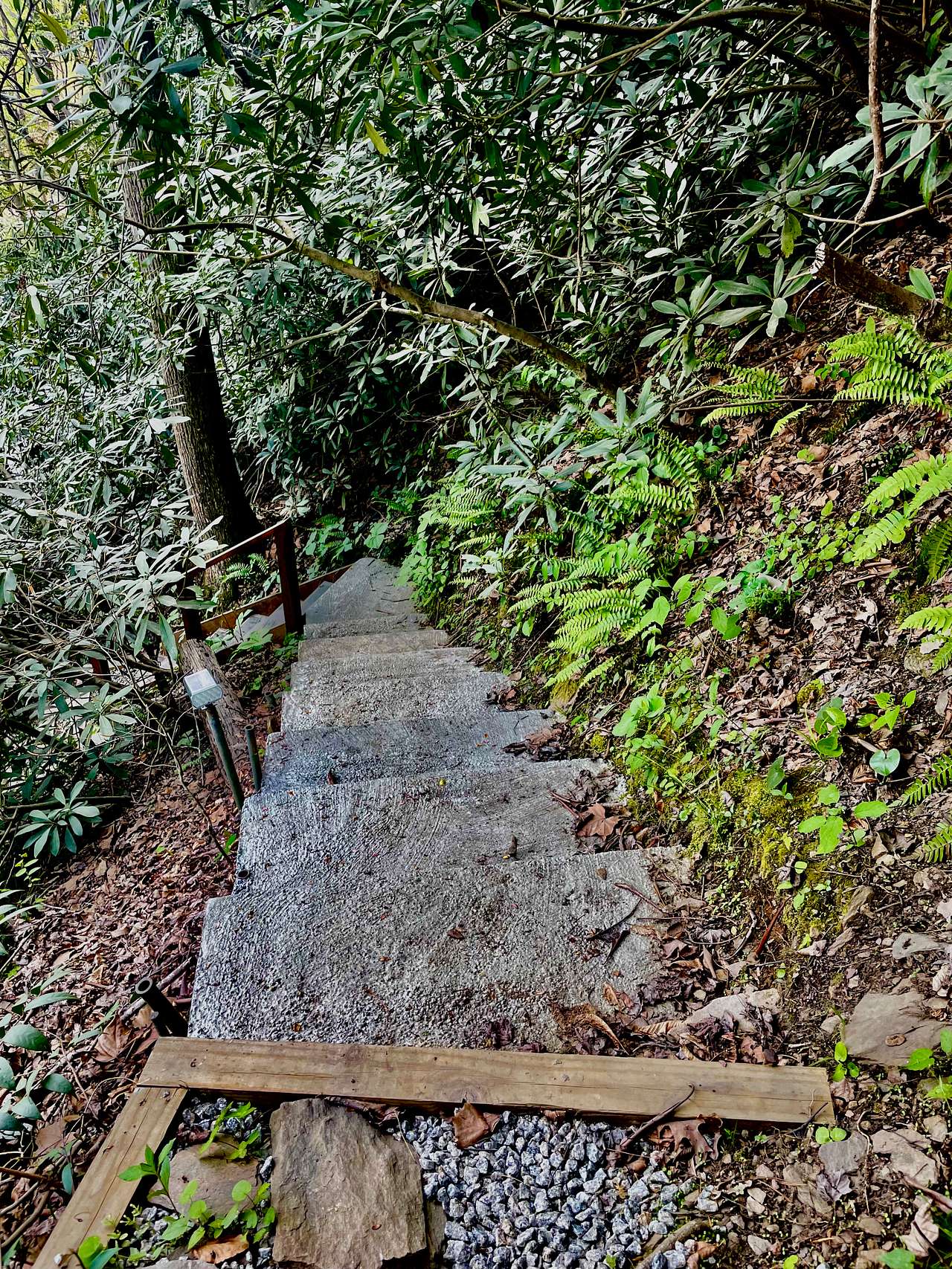 Steps from cabin down towards road