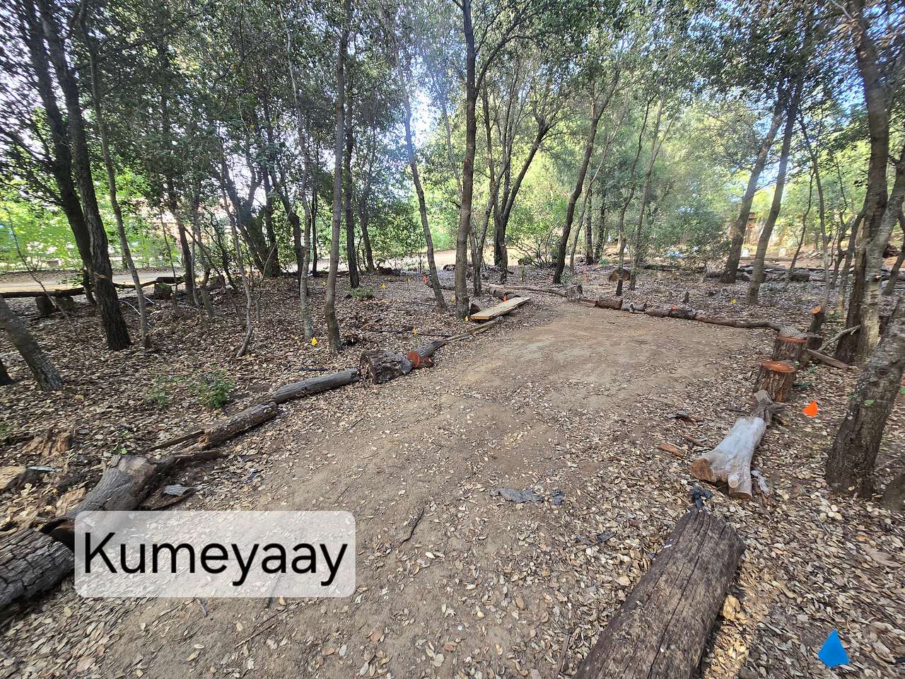 Picture of the site