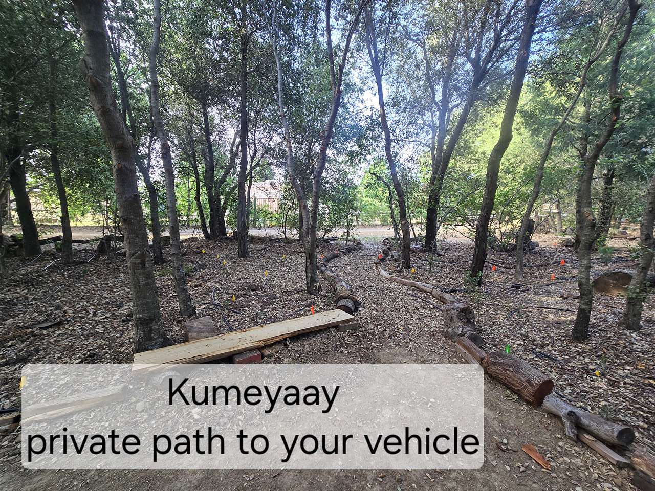 Picture of the site