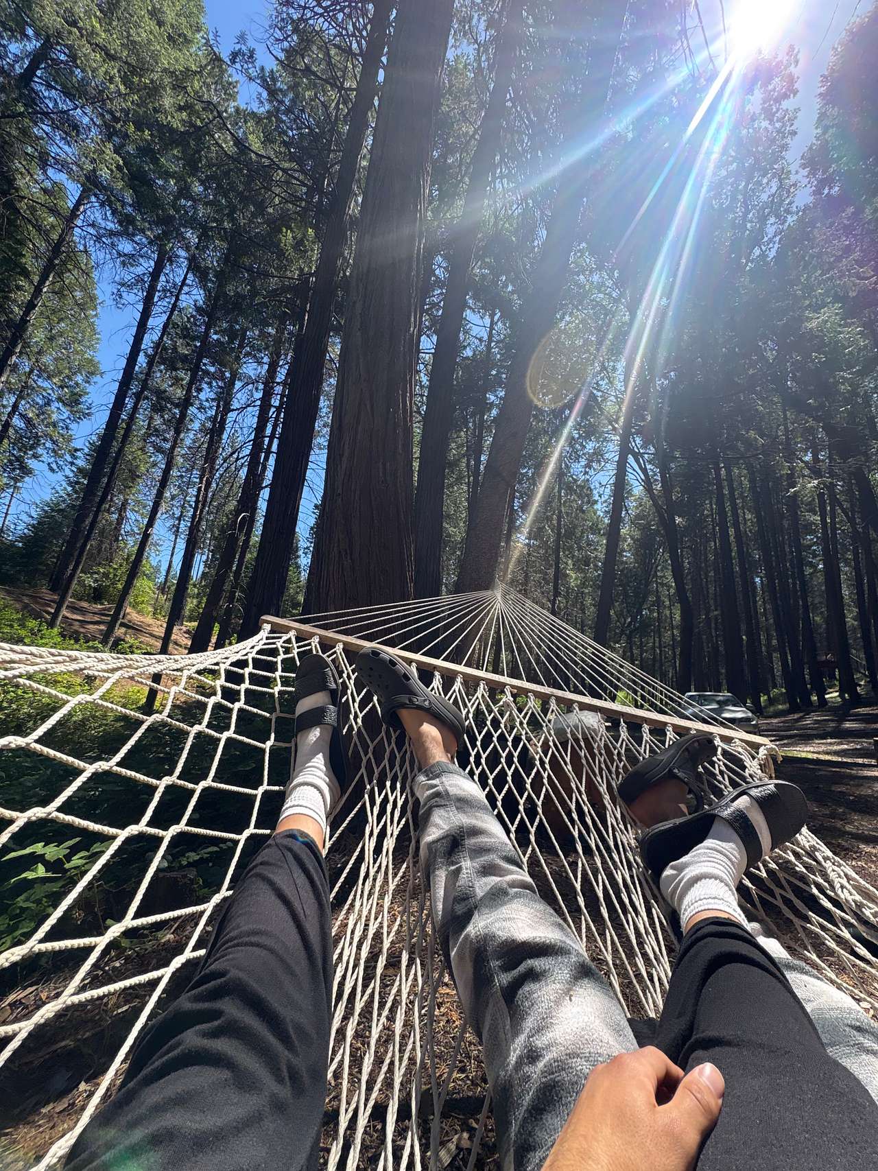Unplug for nature, dogs, and kids