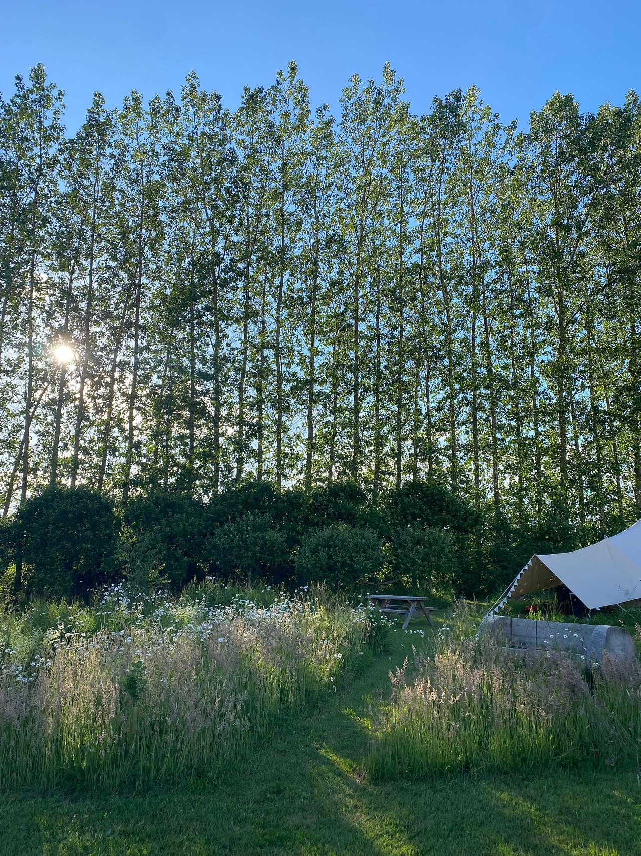 Brakehill Lodge Farm Camping