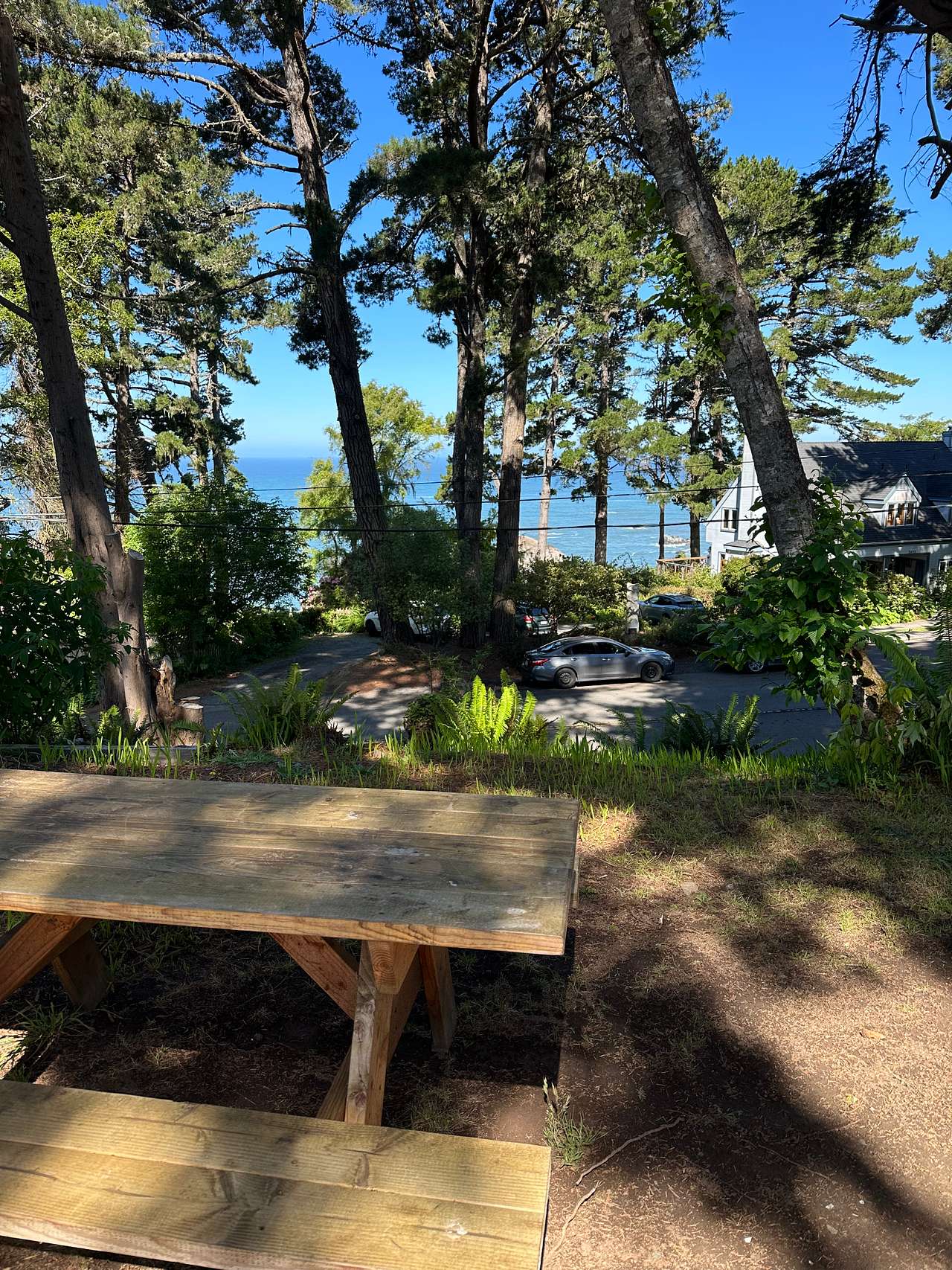 Picture of the site