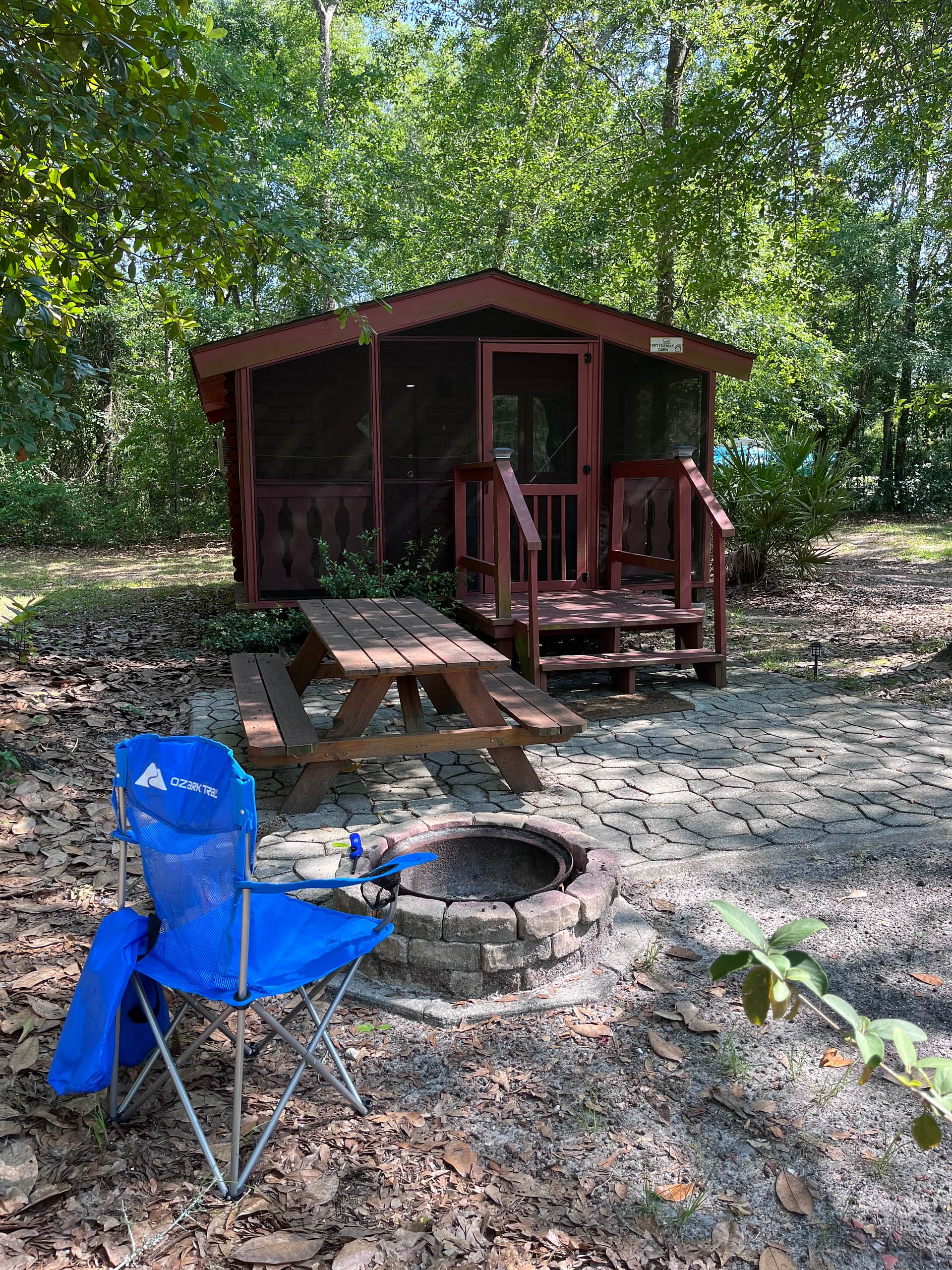 Squirrel Nest Cabin 4