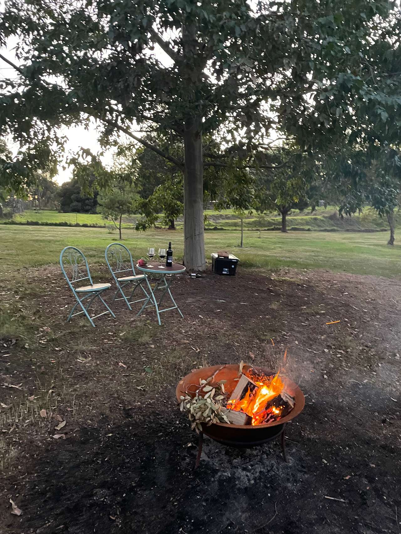 Picture of the site