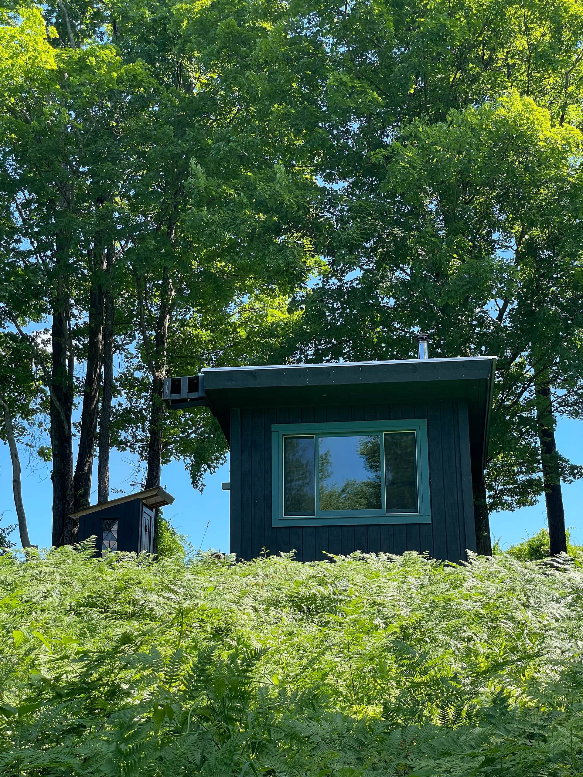 The Cabin