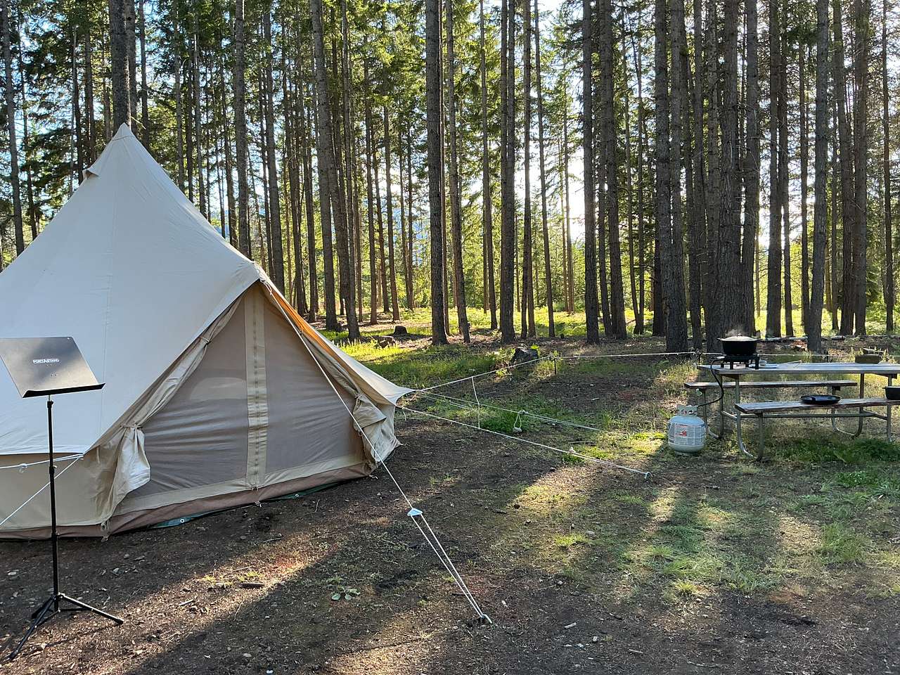 Picture of the site