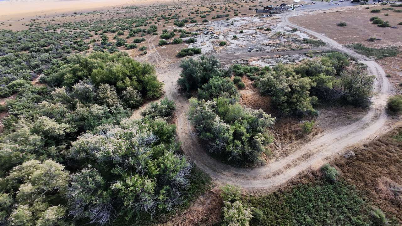 Tamarisk Grove Basecamp
