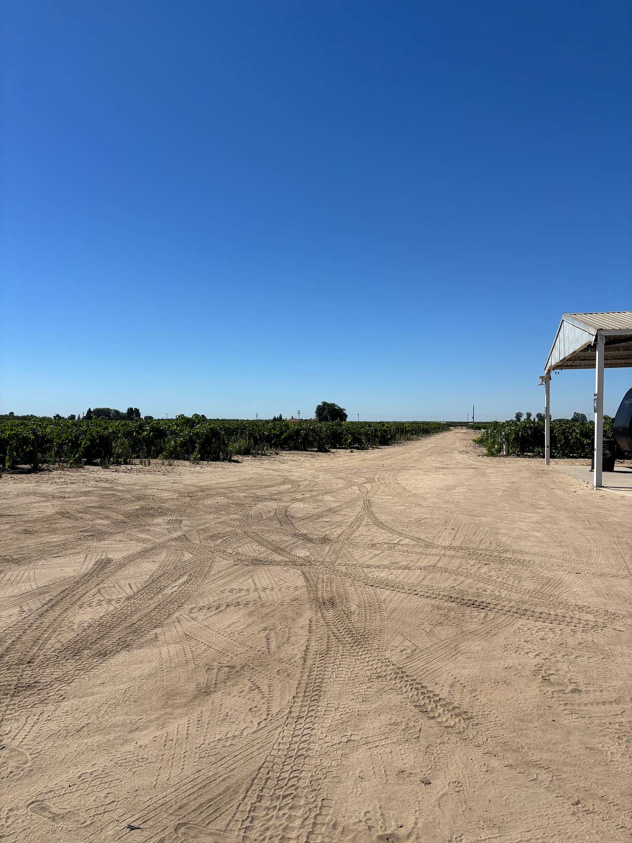 RandCher Vineyards
